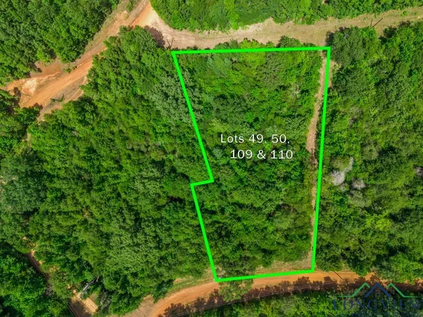 Indian Mound Lake Lots 49 50 109 And 110, Hawkins, TX 75765