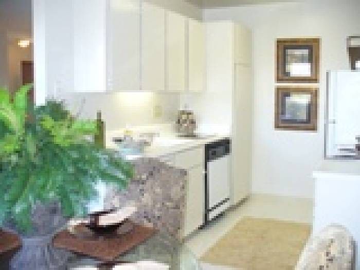 Standard Kitchen