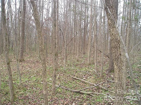 5th image of 4206 Old Pageland Marshville Road 5 #6-LTS