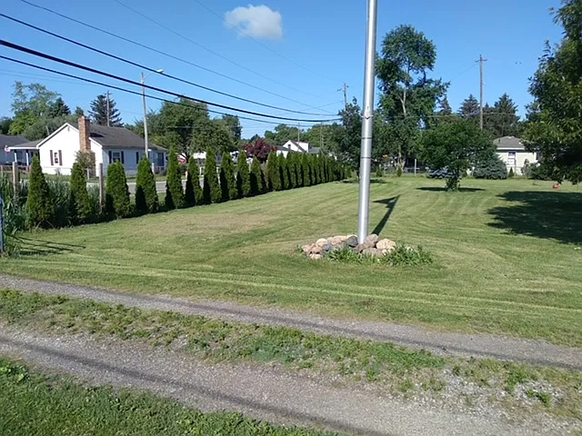 3 bed, 1600 sqft, $2,000 — Photo 3