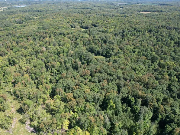 485 Street, Vergas, MN 56587