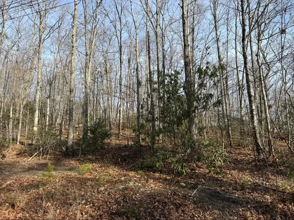 5 & 6 Swann Saddle Rd, Sevierville, TN 37876