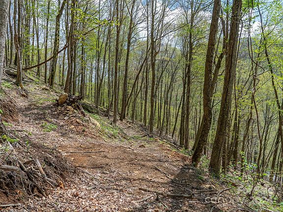 2nd image of 5.0 Unrestricted Acres