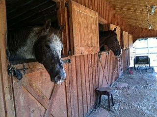 4 stall barn