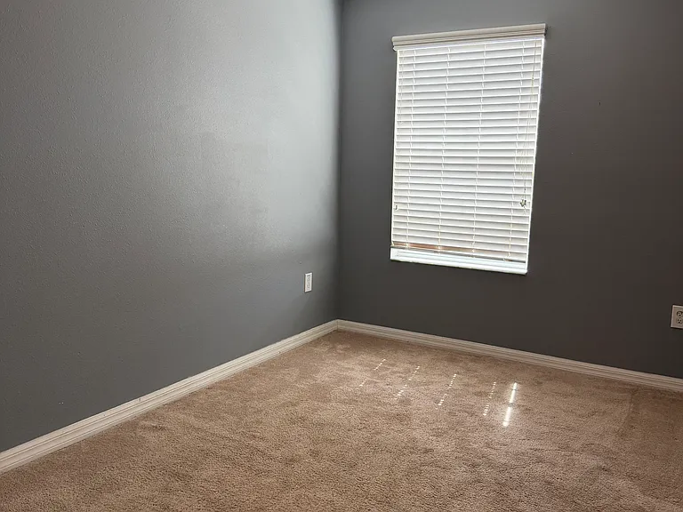 1721 Ivory Goose Pl — Photo 21