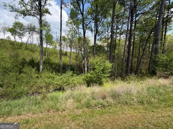 238 Lecroy Dr, Ellijay, GA 30540