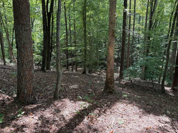 0 Mountain Brook Trl #298, Nebo, NC 28761