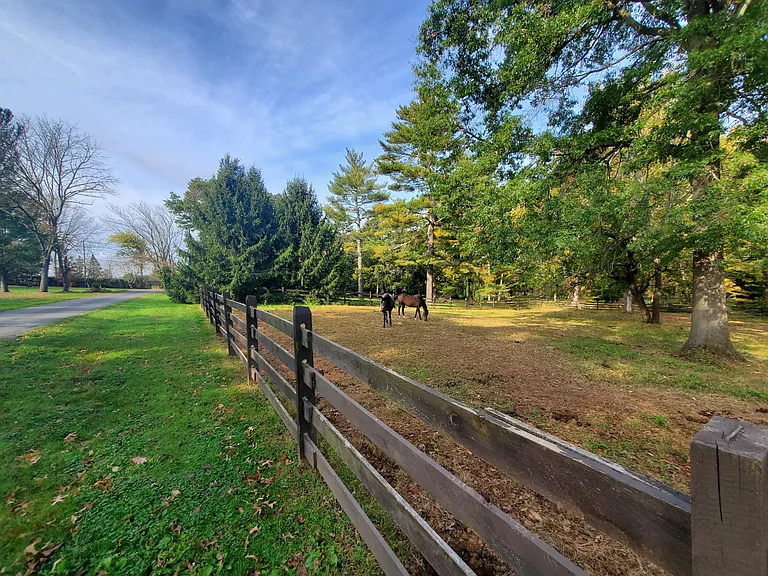 Liberty Corner Rd — Photo 13