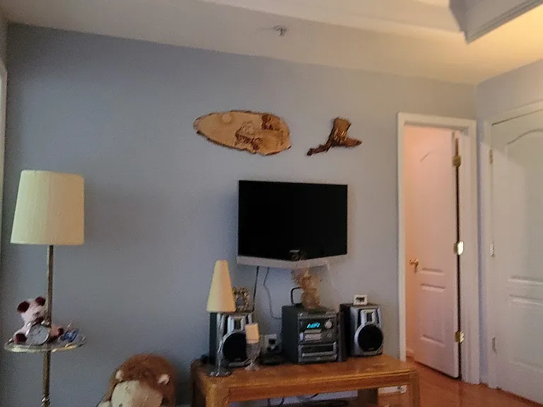 13704 Harvest Glen Way #1 — Photo 19