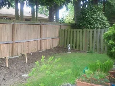 Unit #4 Pic 2 - private fully fenced yard (2)