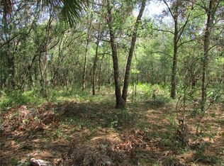 17302 Livingston Ave, Lutz, FL 33559