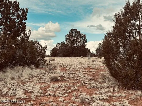301-31-453SE N Deliverance Rd, Seligman, AZ 86337