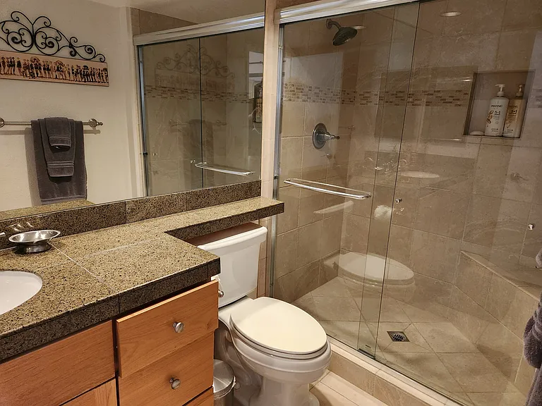 Queen Room shower
