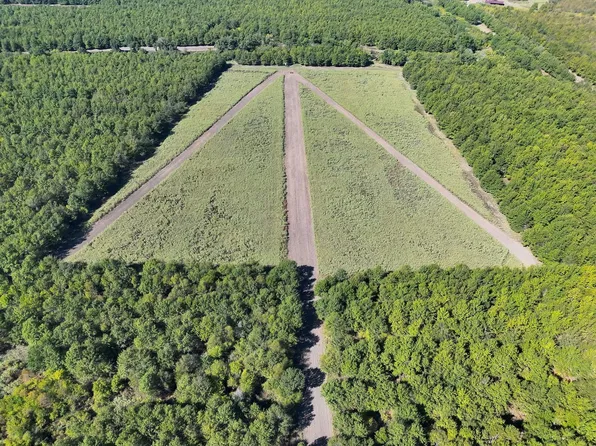 Priddy Rd, Rolling Fork, MS 39159