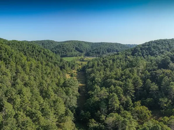 0 Nubbins Ridge Rd, Beeson, WV 24714