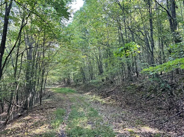 0 Moncove Lake Rd, Union, WV 24983