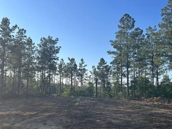 Beckham Hollow Rd, Olivehill, TN 38475