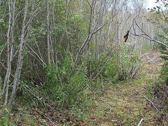 4th image of Lake Doucette Rd Lot 1