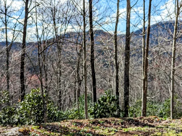 0 Dodgen Rdg, Tuckasegee, NC 28783