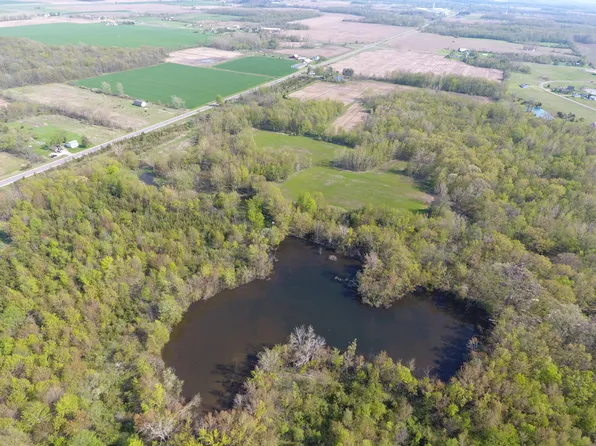 14500 Pioneer Rd, Camden, MI 49232