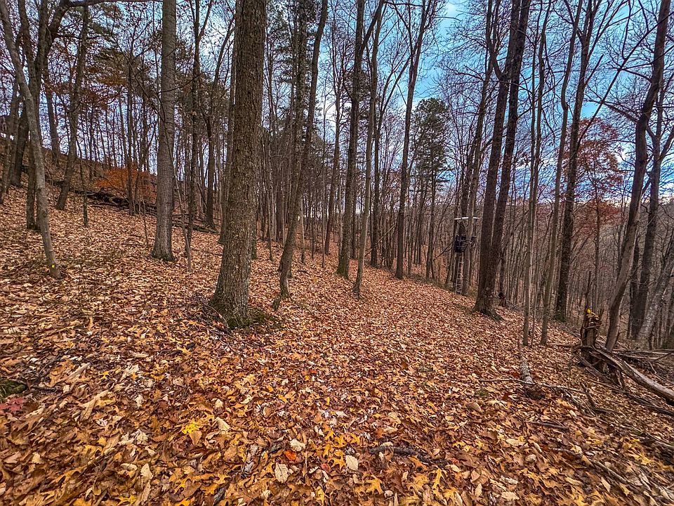 25th image of this home