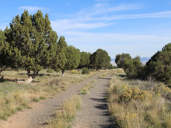 215 County Road 22 #A, Montrose, CO 81403