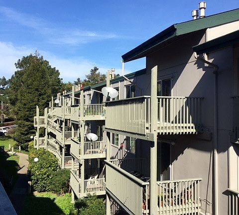 5th image of 373 Half Moon Ln APT 214