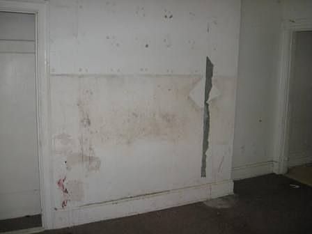 5th image of 2484 Seegar Ave