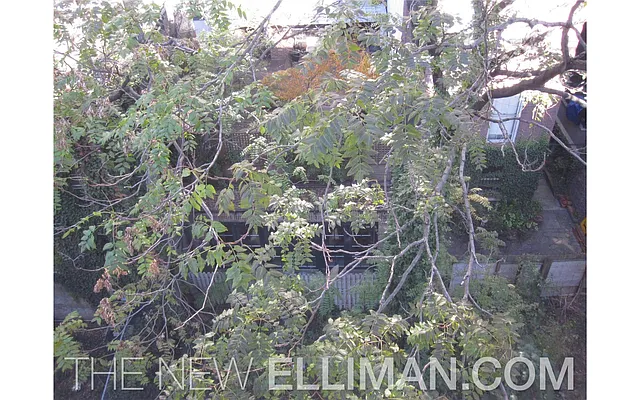 Rented by Douglas Elliman | media 10