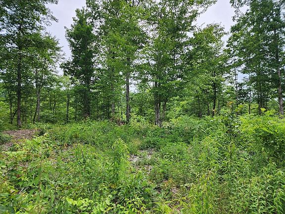 3rd image of 0 York Hwy Lot 4