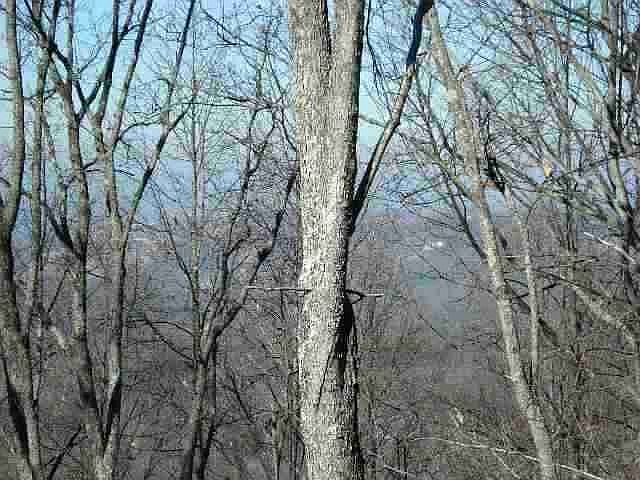 1st image of 845 Orchard Dr Lot 845
