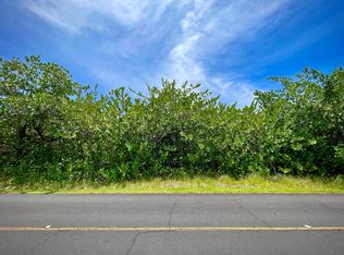 Beach Rd LOT 3077, Keaau, HI 96749