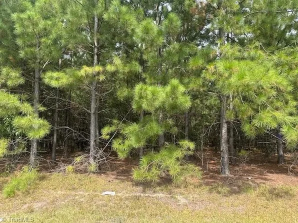 New Tract Belford Church Rd #10, Jackson Springs, NC 27281