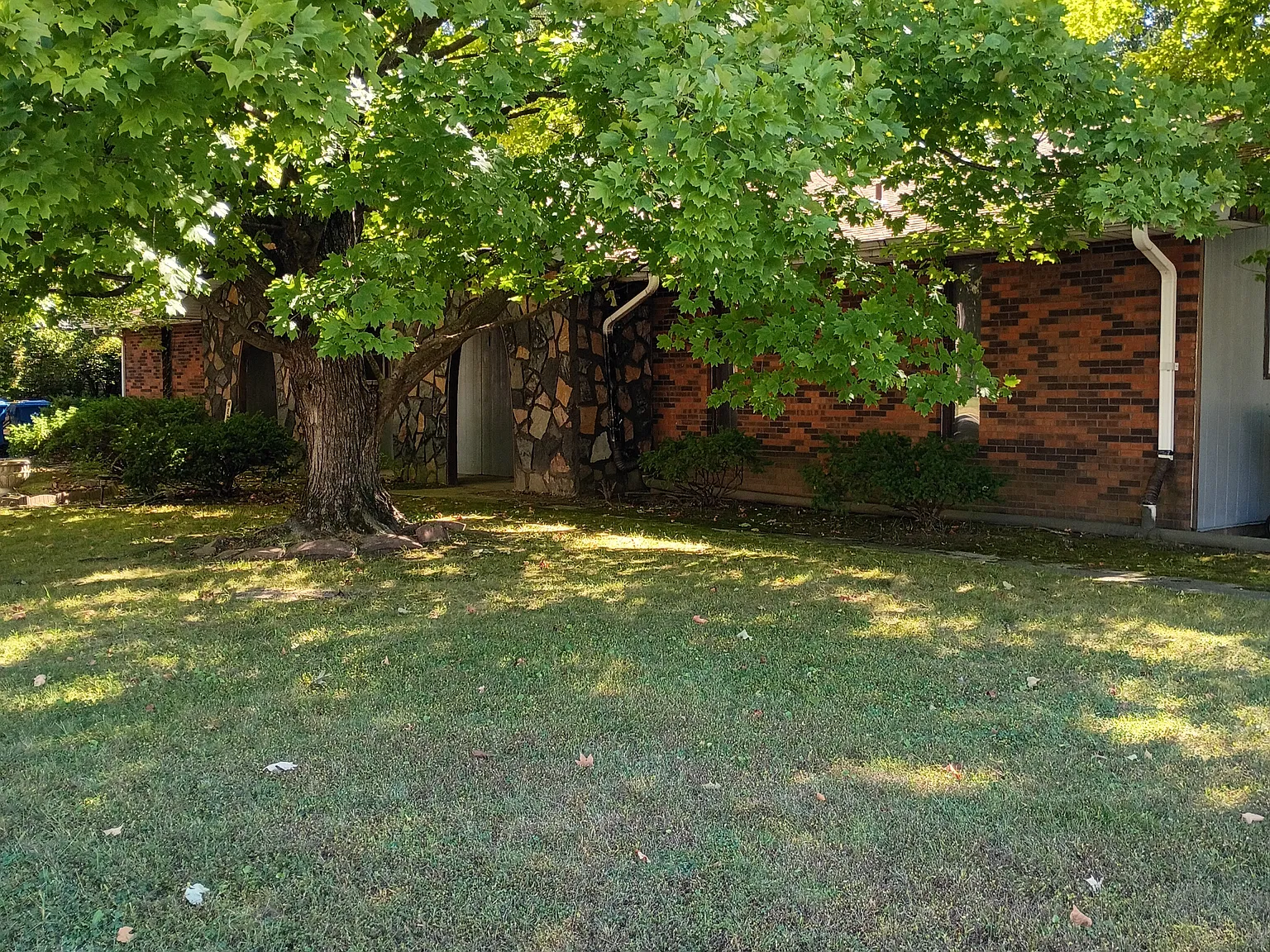 2 bed, 800 sqft, $975 — Photo 1