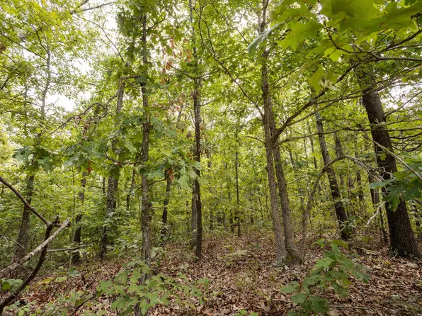 000 Cr 9065a, Powell, MO 65730