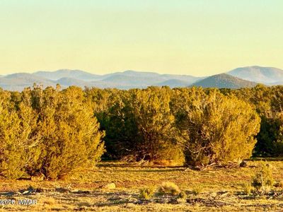 9023 Appaloosa Trl Lot B, Show Low, AZ, 85901