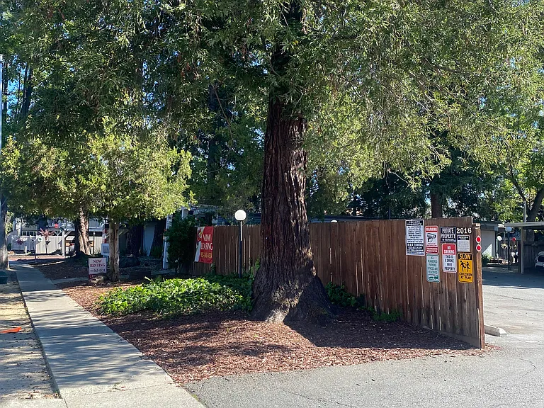 2016 Sierra Rd #15 — Photo 3