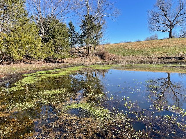 1st image of 0 Reedville Rd