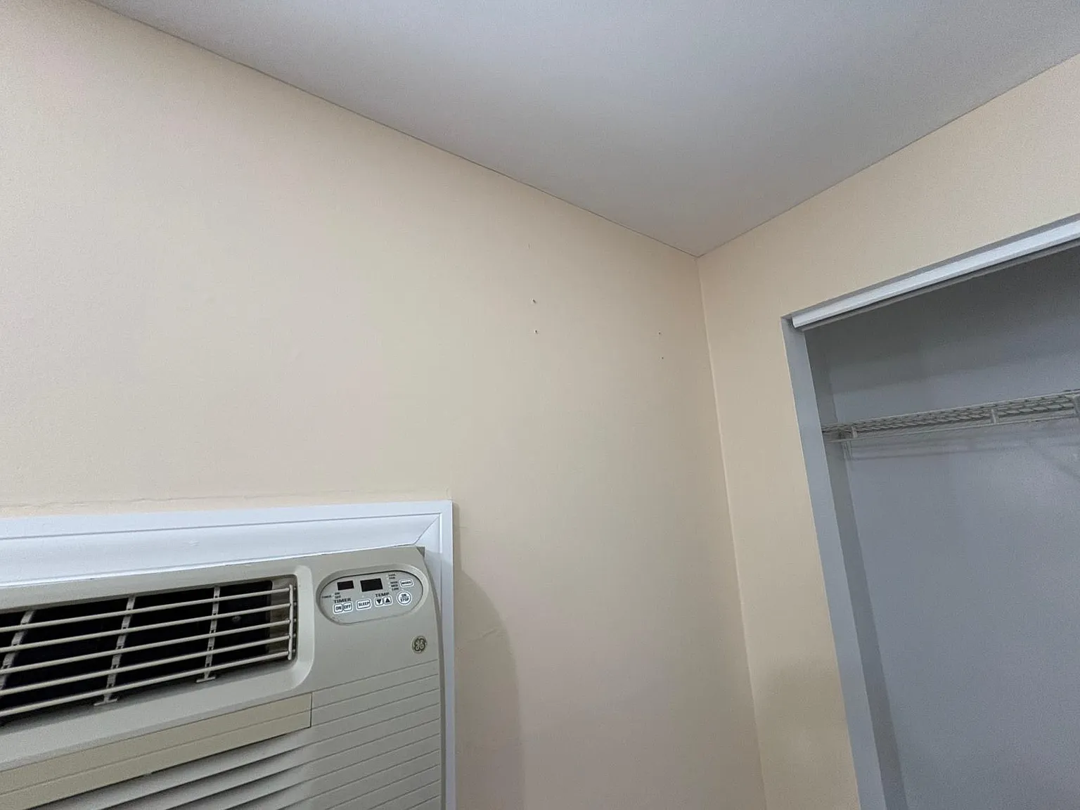 2 bed, 905 sqft, $1,950 — Photo 4