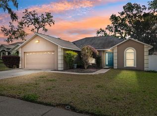 2329 Towering Oaks Cir, Seffner, FL 33584