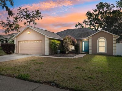 2329 Towering Oaks Cir, Seffner, FL, 33584