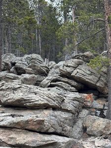 62 Badger Road LOT 49, Black Hawk, CO, 80422