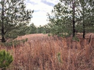 0 Highway 221 Ave #2, Bartow, GA 30413