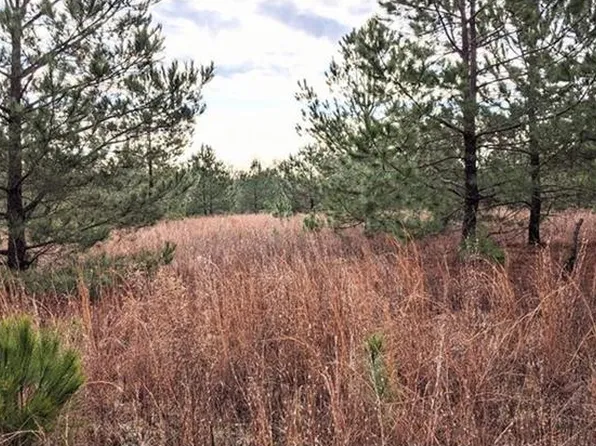 0 Highway 221 Ave #2, Bartow, GA 30413