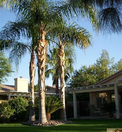5th image of 82288 Shirley Cir