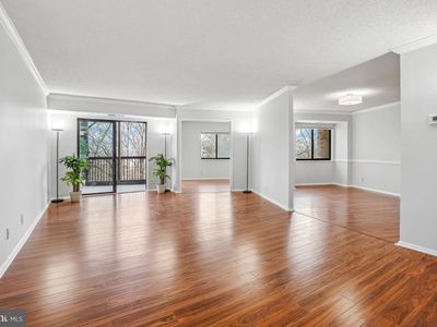 5903 Mount Eagle Dr APT 314, Alexandria, VA, 22303