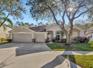 16942 Falconridge Rd, Lithia, FL 33547