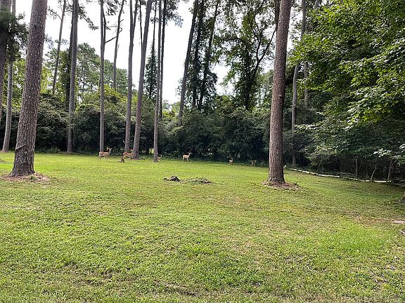 Plenty of wildlife 