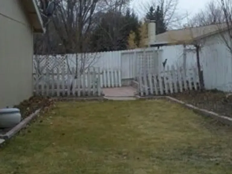4341 Mexicali Ct #1 — Photo 6