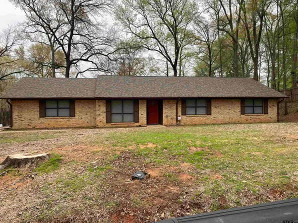 1411 Woodland Hills Dr, Whitehouse, TX 75791